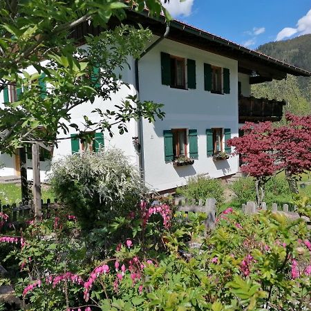 Ferienwohnungen Asterbach Gosau Luaran gambar