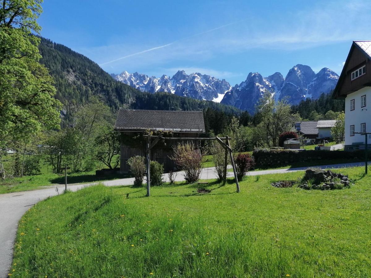 Ferienwohnungen Asterbach Gosau Luaran gambar
