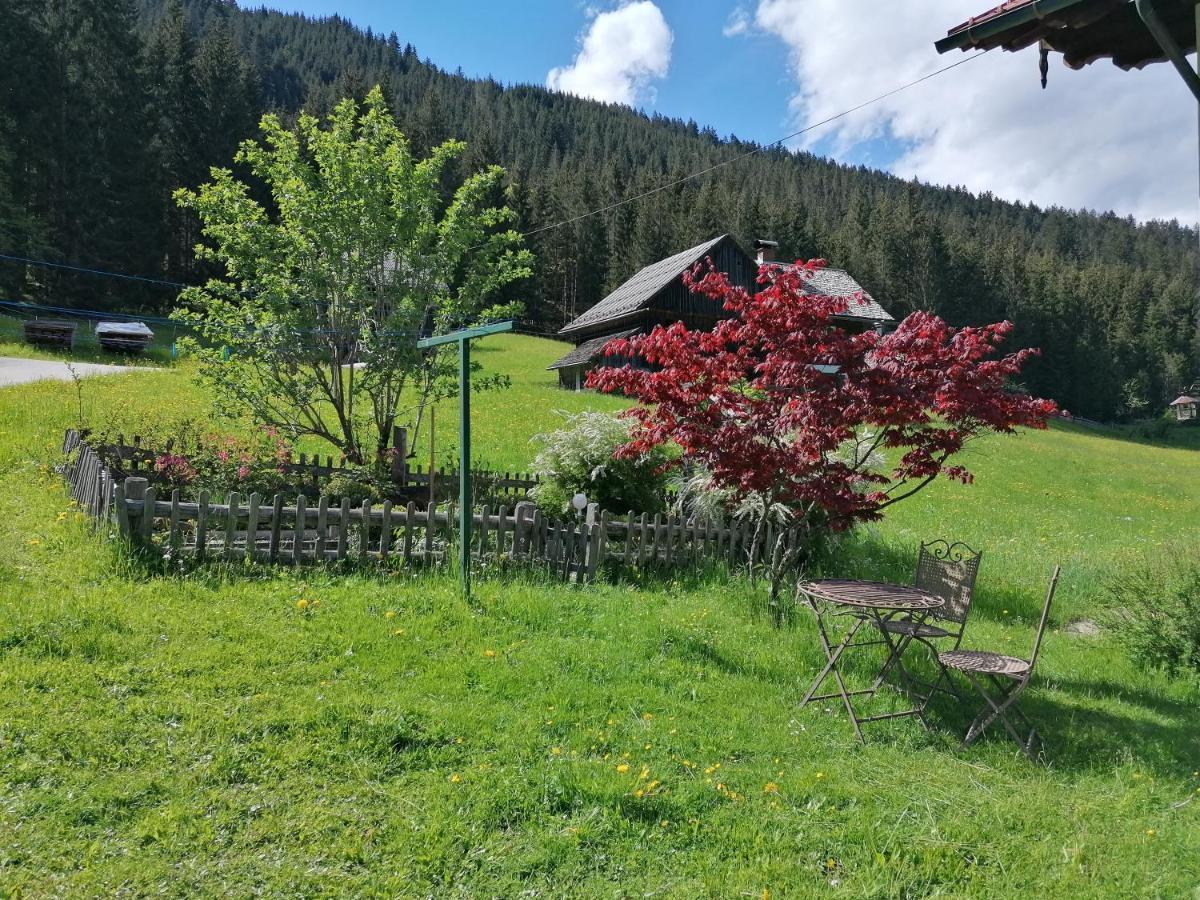 Ferienwohnungen Asterbach Gosau Luaran gambar