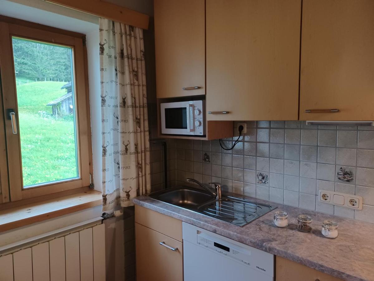 Ferienwohnungen Asterbach Gosau Luaran gambar