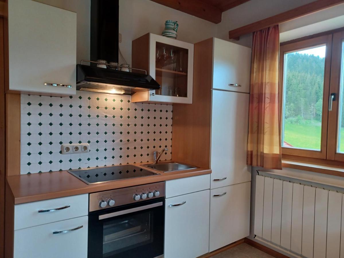 Ferienwohnungen Asterbach Gosau Luaran gambar