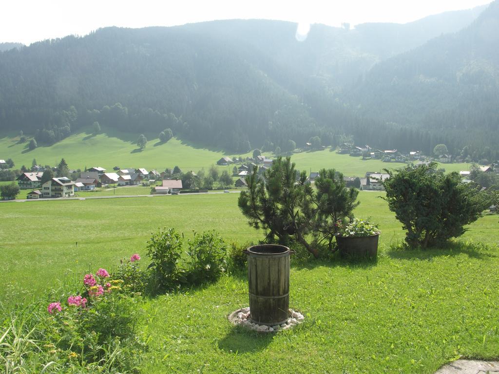 Ferienwohnungen Asterbach Gosau Luaran gambar