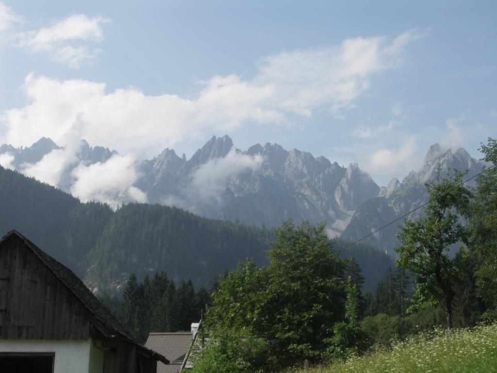 Ferienwohnungen Asterbach Gosau Luaran gambar